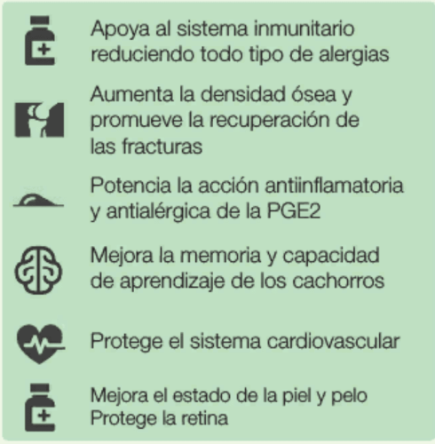 características ácidos grasos DHA para perros Nutriderm DHA 400