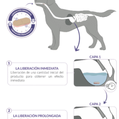 funcionamiento tranquilizante perros gatos calmatonine XR 120 comprimidos
