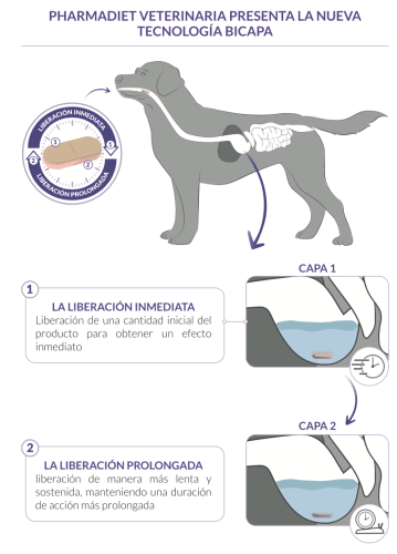 funcionamiento tranquilizante perros gatos calmatonine XR 120 comprimidos