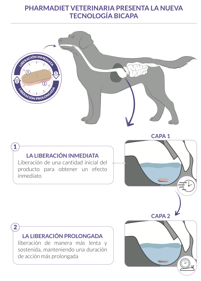 funcionamiento tranquilizante perros gatos calmatonine XR 120 comprimidos