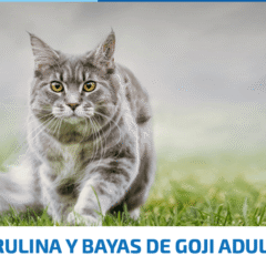 nd spirulina cordero bayas de goji gatos adultos