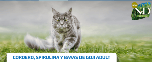 nd spirulina cordero bayas de goji gatos adultos