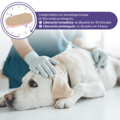 nueva tecnología tranquilizante perros gatos calmatonine XR