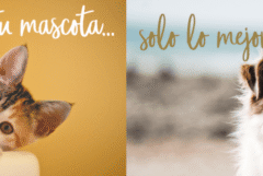para tu mascota solo lo mejor Applaws natural pet food