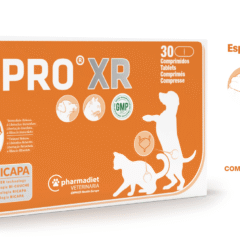 sistema urinario perros gatos Urpro XR Bicapa