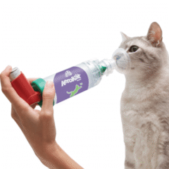 cámara de inhalación Aerokat para gatos y perros de hasta 4,5 kg