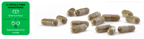 modo de uso Cáñamo para perros y gatos hemdiol flex cápuslas de cbd