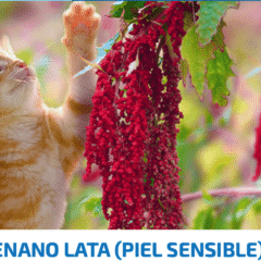 LATA GATOS SKIN COAT ND QUINOA VENADO