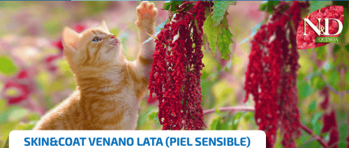 LATA GATOS SKIN COAT ND QUINOA VENADO