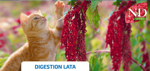 comida gatos ND Quinoa DIGESTIÓN lata gatos