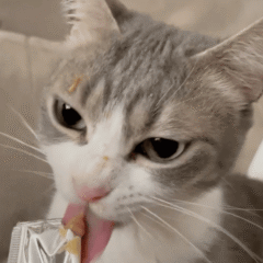 snack licks Dr Zoo crema para gatos