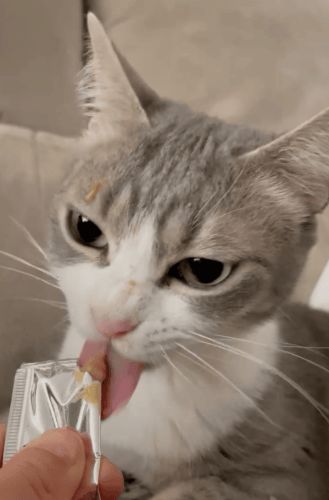 snack licks Dr Zoo crema para gatos