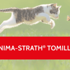 tos mascotas antitusivo Anima Strath TOMILLO