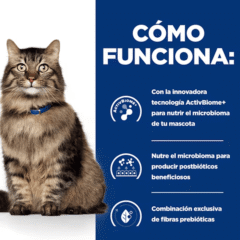 características Feline GASTROINTESTINAL Biome HILL´S gatos