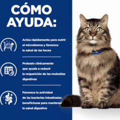 pienso gastrointestinal para gatos Feline GASTROINTESTINAL Biome HILL´S gatos
