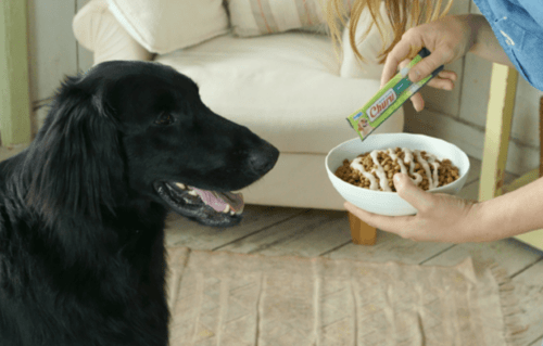 churu de inaba snacks saludabla para mascotas