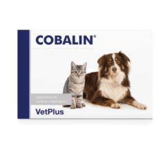vitamina B12 y B9 para perros y gatos cobalin 60 cápusulas