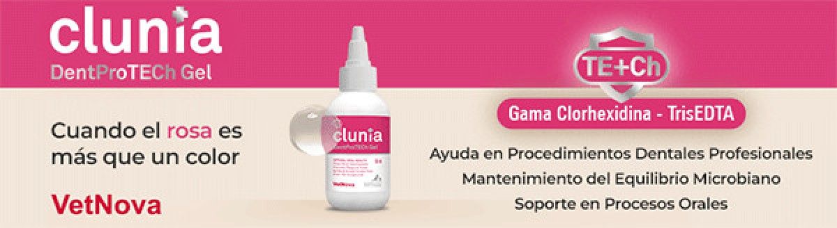 CLUNIA DentProTECh Gel con clorhexidina y TrisEdta