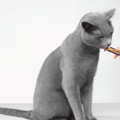 Happy Snack gatos Feliway les encanta
