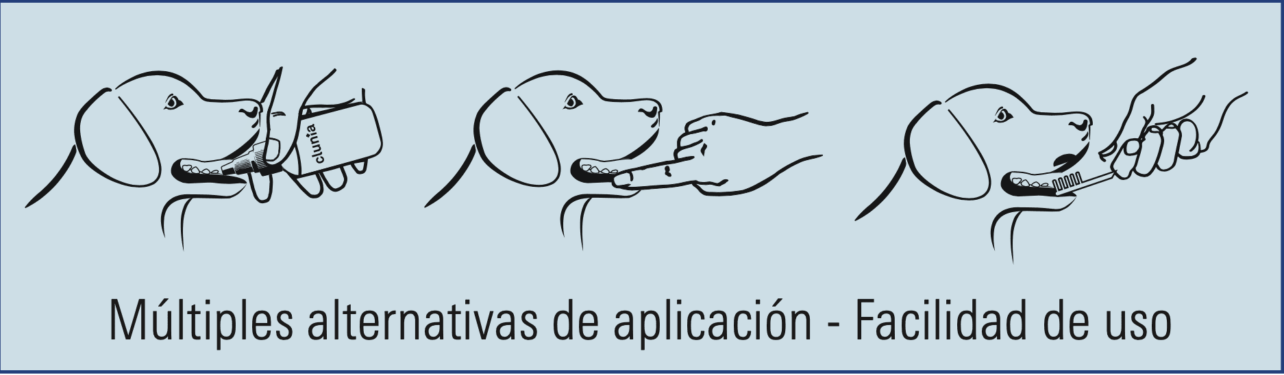 modo de uso Clunia DentProTECh Gel dental perros gatos
