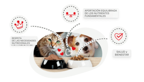 alimentación completa para perros y gatos disugual