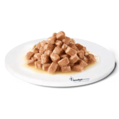 aspecto comida húmeda para gatos advance renal gatos 85 g