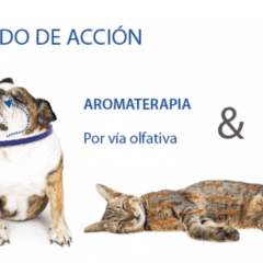 modo de acción de aromacalm collar dermoscent perros gatos
