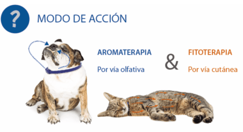 modo de acción de aromacalm collar dermoscent perros gatos