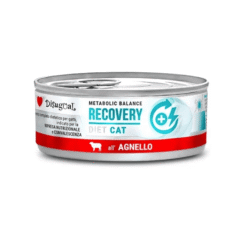 Alimento húmedo para gatos CONVALESCENTES Disugual RECOVERY cat CORDERO 85 g