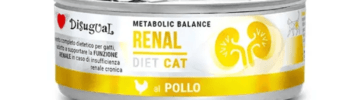 Alimento húmedo para gatos con INSUFICIENCIA RENAL Disugual RENAL cat POLLO 85 g