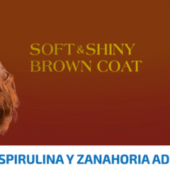 Farmina ND Brown dog mini cordero spirulina zanahoria
