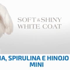 Nd White puppy mini LUBINA monoprotéico cachorros
