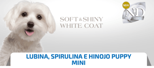 Nd White puppy mini LUBINA monoprotéico cachorros