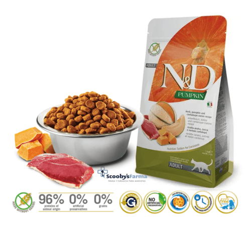 características pienso para gatos sin cereales ND Pumpkin Cat PATO, Calabaza y Melón gatos