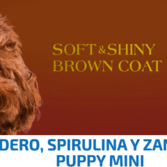 comida para cachorros mini de color marrón farmina nd brown cordero, spirulina zanahoria puppy mini