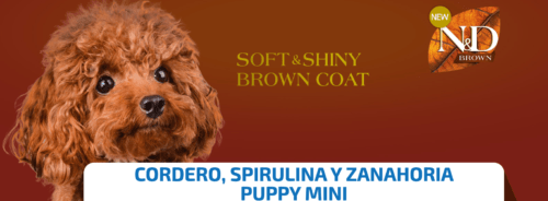 comida para cachorros mini de color marrón farmina nd brown cordero, spirulina zanahoria puppy mini