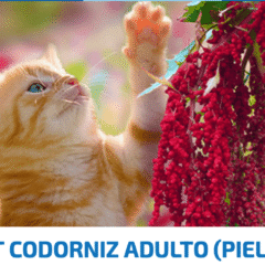 farmina nd quinoa skin coat codorniz gatos