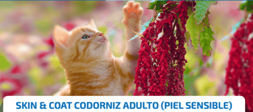 farmina nd quinoa skin coat codorniz gatos