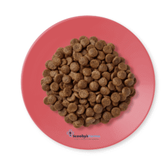 aspecto comida seca natural para gatos adultos Applaws cat pollo pato