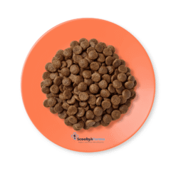 aspecto comida seca natural para gatos adultos Applaws cat pollo salmón