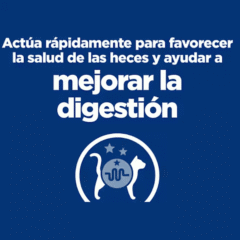 características Piensos para gatos con mala absorción Hill´s I:D Gatos Digestive care