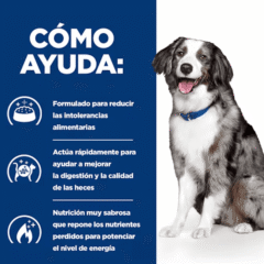 como ayuda pienso para perros con alergia Hill´s I/D Sensitive Digestive care perros