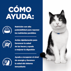 como ayuda Piensos para gatos con mala absorción Hill´s I:D Gatos Digestive care