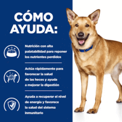 como ayuda pienso para perros con trastorno intestinal Hill´s i:d canine Digestion Care perros