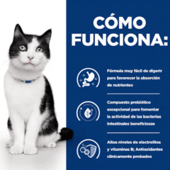 como funciona Piensos para gatos con mala absorción Hill´s I:D Gatos Digestive care