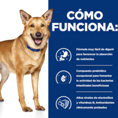 como funciona pienso para perros con trastorno intestinal Hill´s i:d canine Digestion Care perros