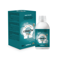 jarabe neuroprotector conecta plus perros y gatos 180 ml