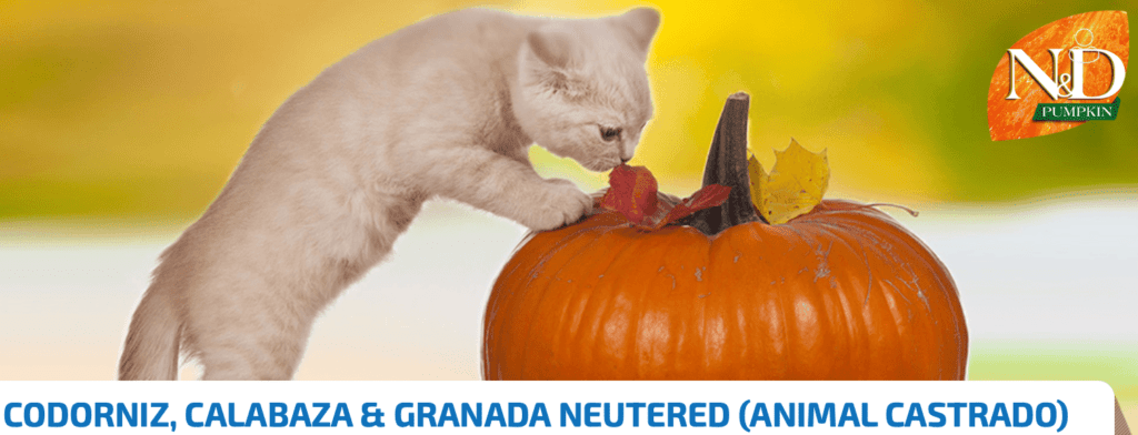 ScoobysFarma