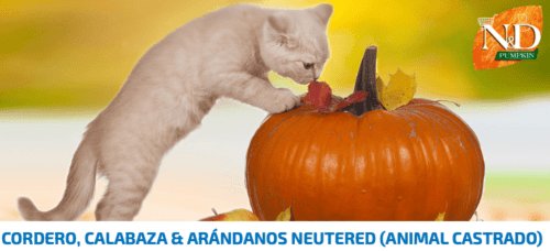 nd pumpkin cordero calabaza arándanos gatos esterilizados