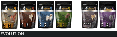 GAMA DR DARWIN EVOLUTION
